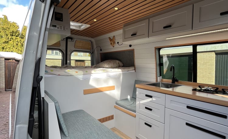 Hank the Van – Mercedes Sprinter di lusso fuori rete