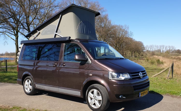 Bruin – Volkswagen T5 California Buscamper met Slaaphefdak. 