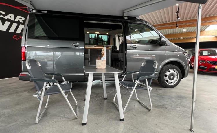 OCEAN – Volkswagen CALIFORNIA campervan uit 2022