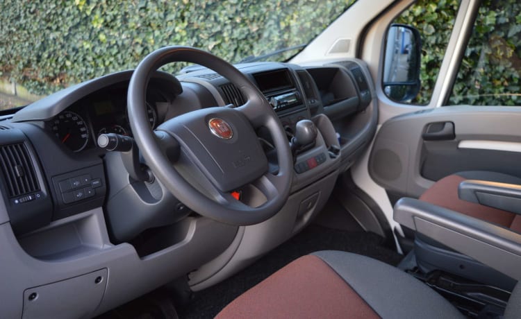 Schöner kompletter und sehr ordentlicher Camper für 6 Personen (Fiat Ducato Joint S)