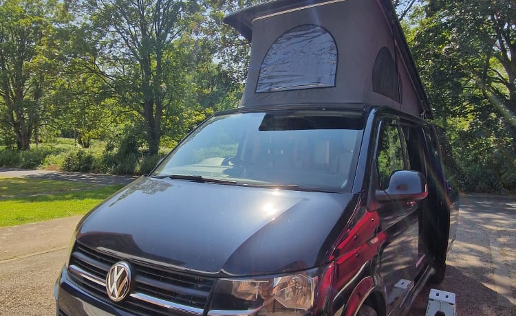 Bluebell – VW T6 4 berth Campervan - Automatic