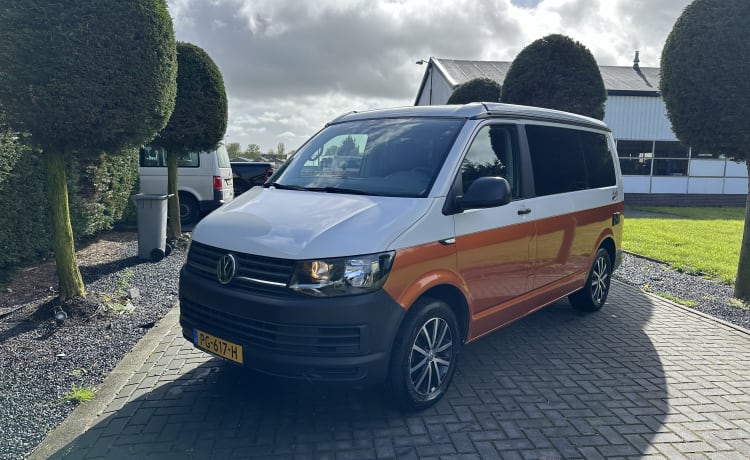 Camper Bronze – p Volkswagen Bus von 2018