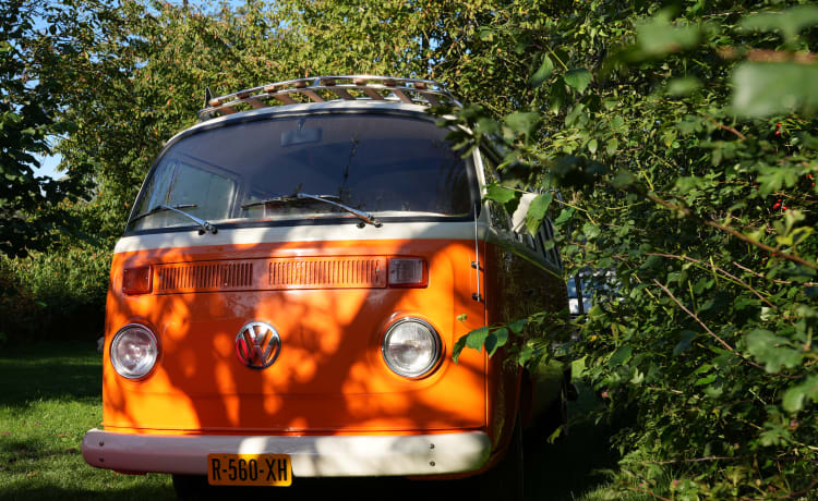 Bohemien – Camper Volkswagen T2 retrò: abbraccia l'avventura indimenticabile.