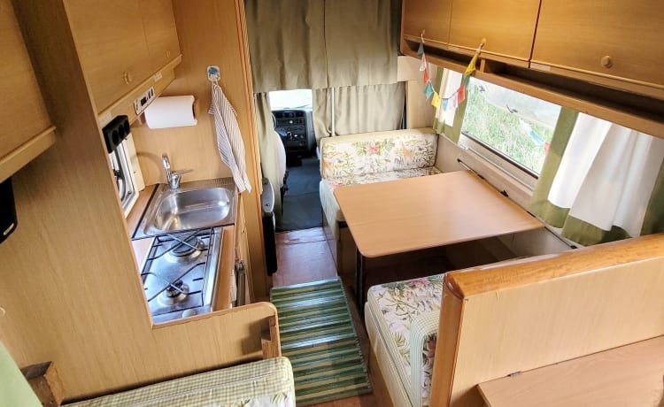 Freddy – "Camper Mansardato Fiat Ducato : Classico Vintage Familiare"