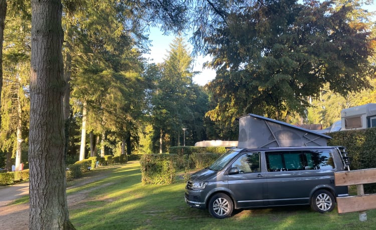  Volkswagen California camper