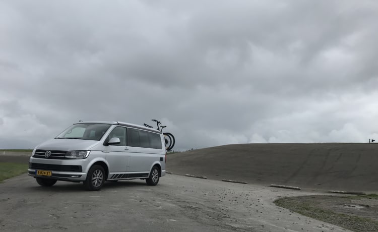 Bulli – Voiture d'origine VW California Ocean T6. Euro6