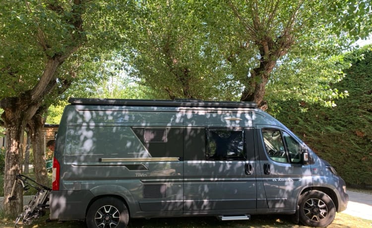 4p Adria Twin Family Van