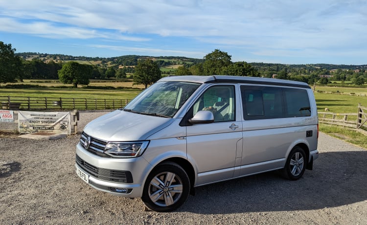 Rocky California  – Volkswagen California Ocean Bus mit 4 Schlafplätzen aus dem Jahr 2016