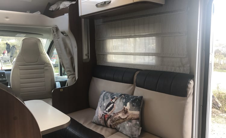 MCLouis2015 – Camper per famiglie di lusso completamente arredato con ampia area salotto