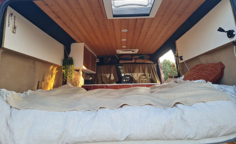 Bussie!  – Cozy and nice house on wheels