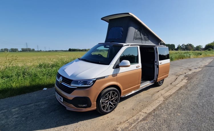 VW Campervan (White/Copper Bronze) – VW Campervan (2023) 4/6 Schlafplätze