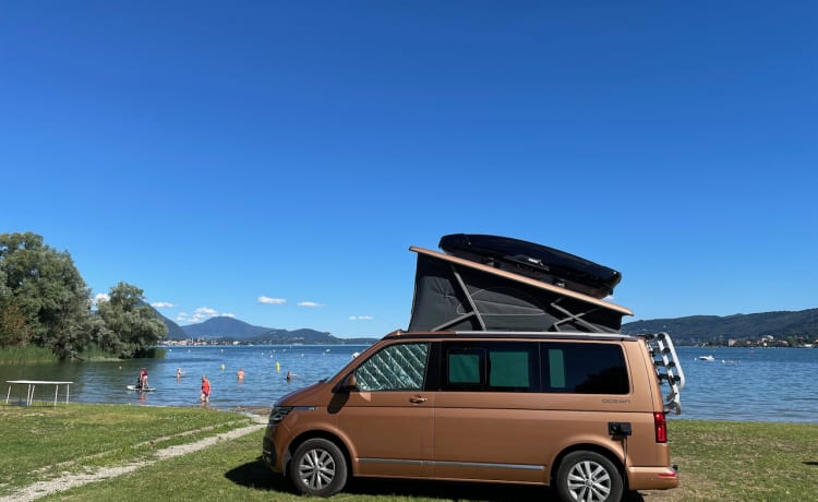 Volkswagen California T6.1 Oceano