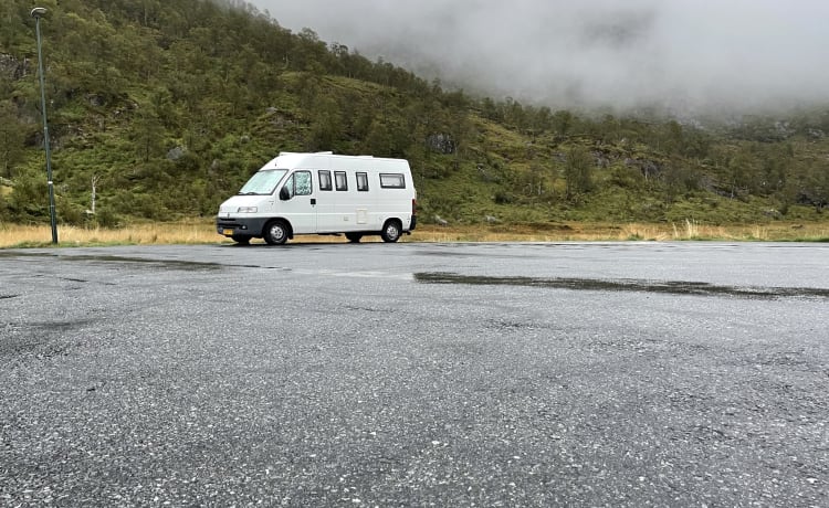 In un'avventura con un camper bus affidabile.