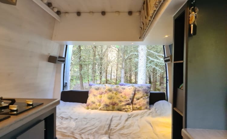 Nomad – Bespoke dog friendly adventure van 