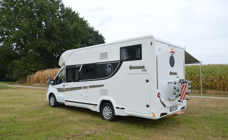 2021 Benimar Cocoon 442 Northautokapp Automatique