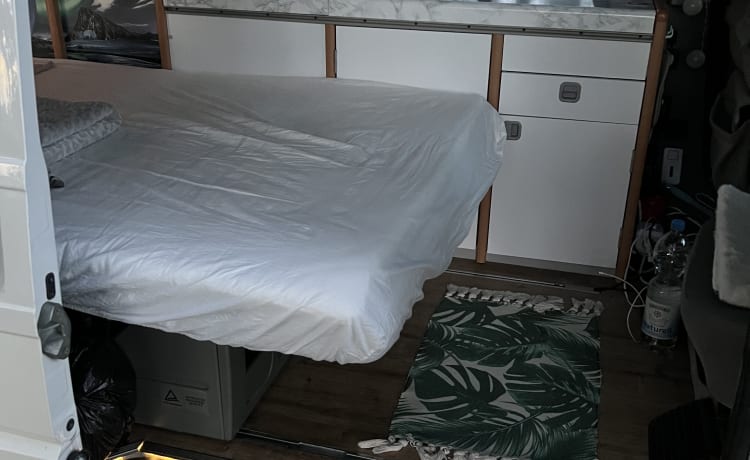 Colin de Camper – Camping-car Volkswagen T4 California, en parfait état, avec extras et hors réseau