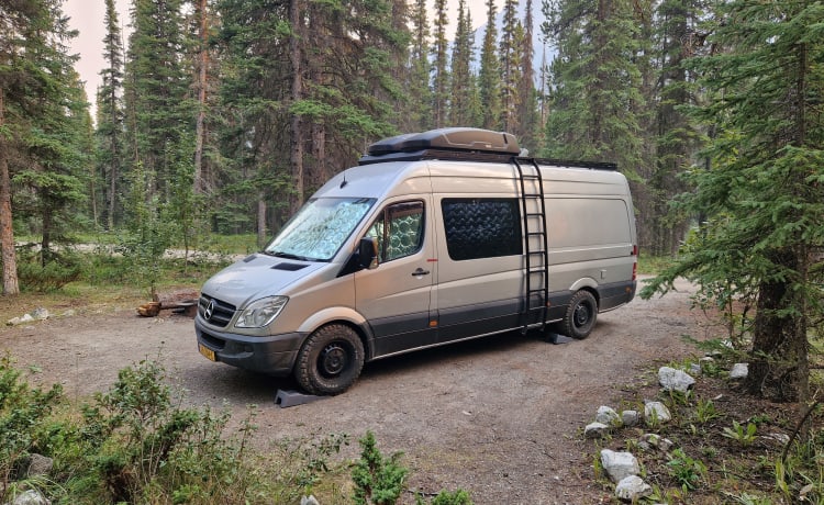 5p Mercedes-Benz bus from 2012