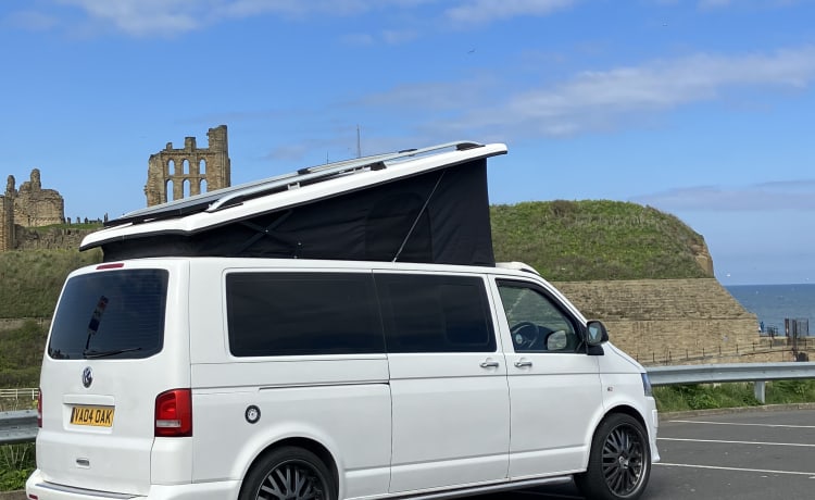 Salty sea dog  – 4 berth Volkswagen bus from 2012