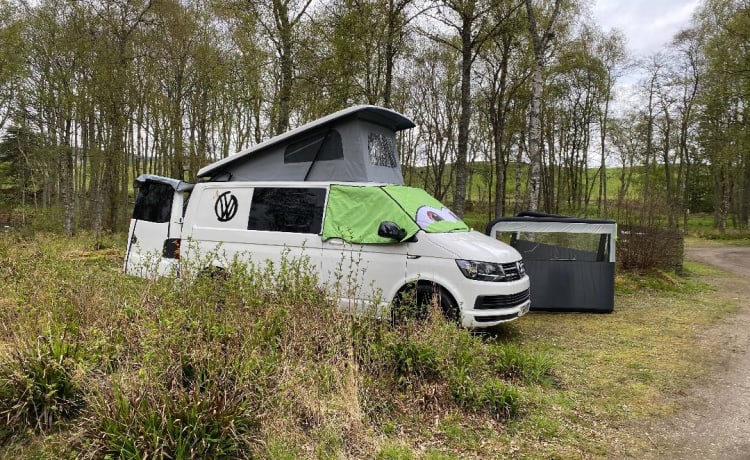 BEPE – Camper furgonato VW T6