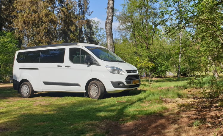 Petite maison sur roues