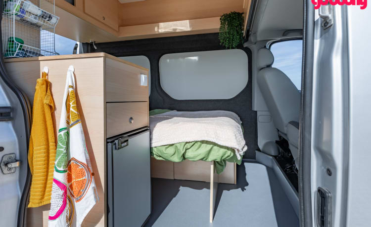 Bel camper compatto del 2010