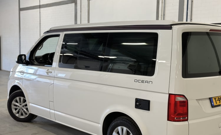 Cali  – Volkswagen California T6 (camper di fabbrica, originale)