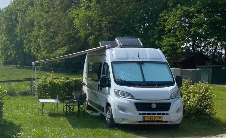 Ideal Bus Camper (2p) dal 2016 (Pilote/Bavaria)