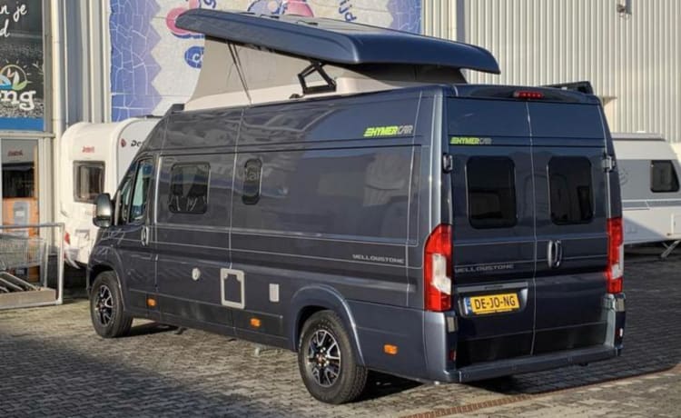 Jo'Berg – Camper autobus Hymer Yellowstone (con tetto sollevabile) del 2019