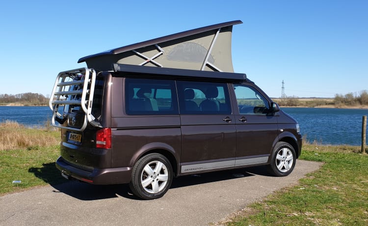 Bruin – Camping-car Volkswagen T5 California Bus avec toit relevable.