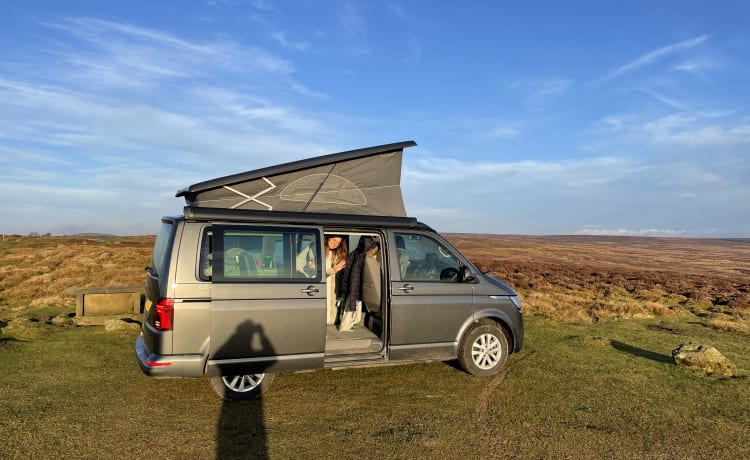 ViewStalkers – Camper VW California