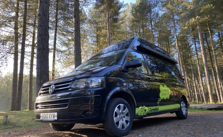 Rolo – T5 VW (2010), tetto alto nero