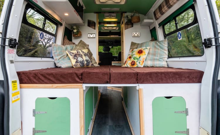 Annie The Ambulance – Ex-Ambulance, 3 Birth, Converted Campervan