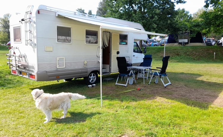 Biggie Waggie – Camping-car familial spacieux Mercedes / Rimor 748