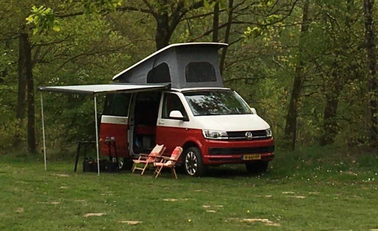 Kreeft – 2p Volkswagen 2015, vanaf 2019 nieuwe Sallander-inbouw van Aart-camperbouw 