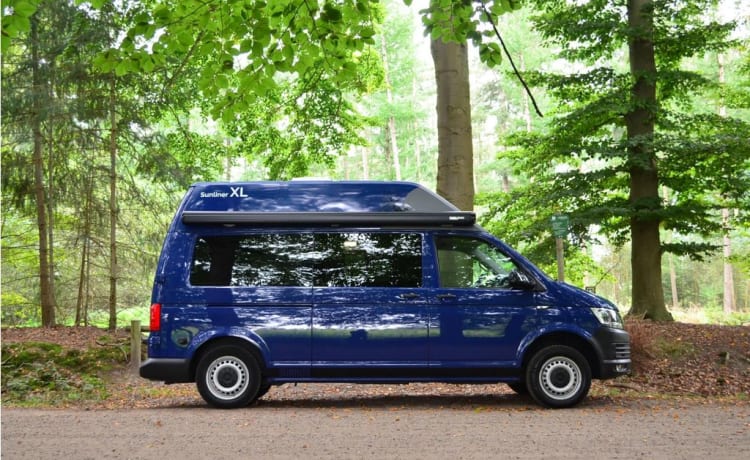 Harry – Camping-car bus Volkswagen SUNLINER XL LUXE 5p, construit en 2023 !