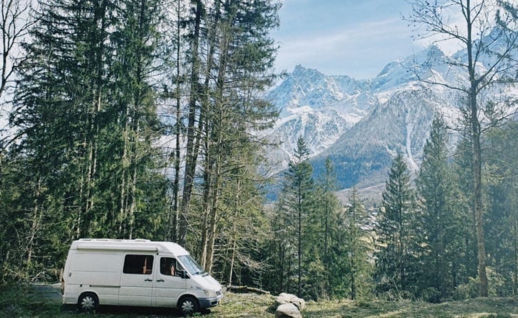 Buzzle – 2p Mercedes-Benz bus uit 2005