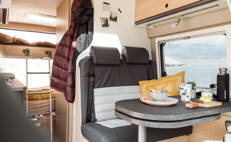 Cocolishi Camper – New bus camper for up to 4 people in Spain