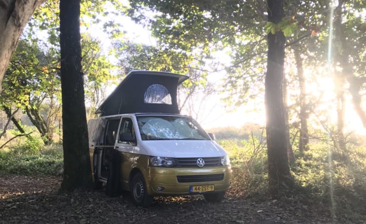 JoeJoe – Volkswagen Campingbus mit Aufstelldach