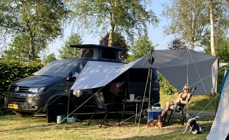 2p Volkswagen campervan uit 2014 met groot vast bed