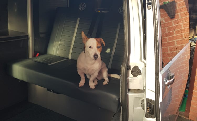 Izzy – Volkswagen Bus mit 4 Schlafplätzen aus dem Jahr 2014