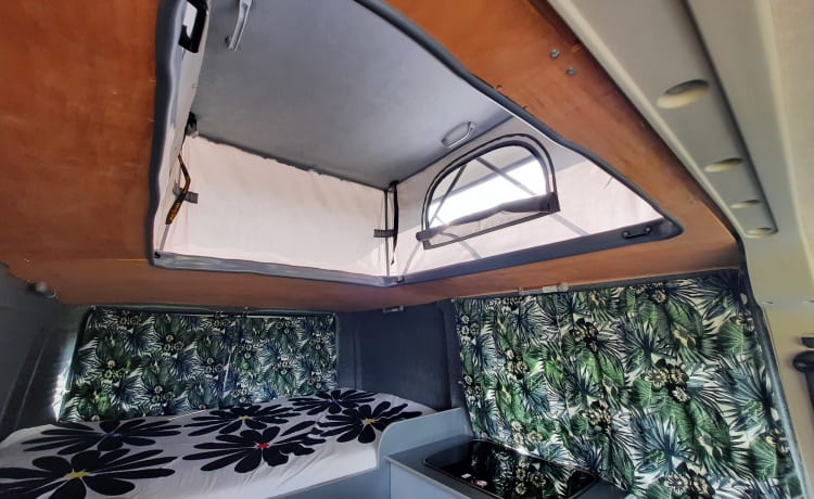 Peugeot Boxer mit Festbett und großem Hubdach