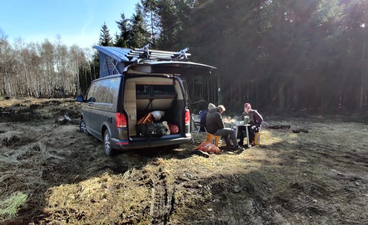 NIEUWE VW CALIFORNIA MET FIETSREK