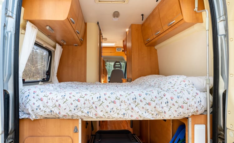 2 person bus camper with fixed bed and sanitary facilities