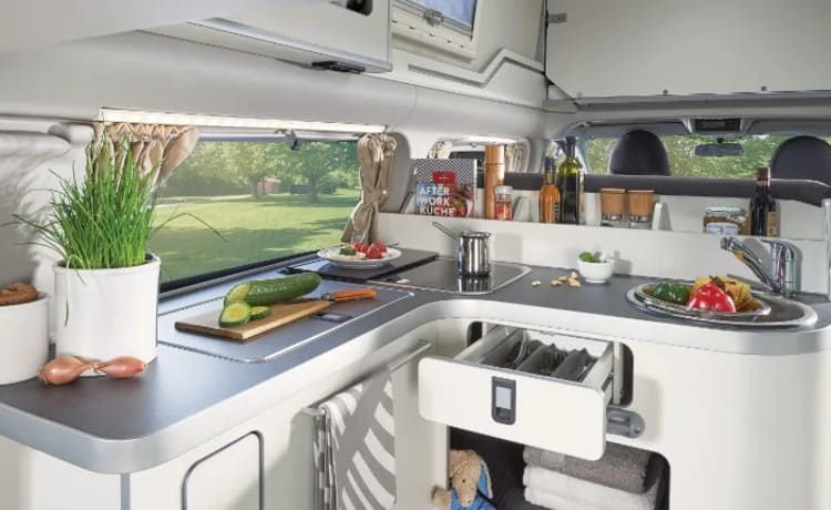 Kompaktcamper Westfalia Ford Nugget PLUS Automatik MIT WC