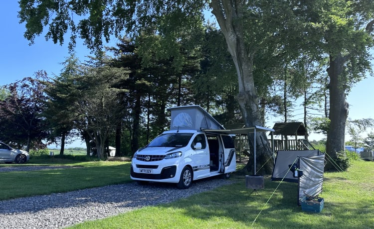 Blighty – Neuer Pop Top Campervan 4 Schlafplätze