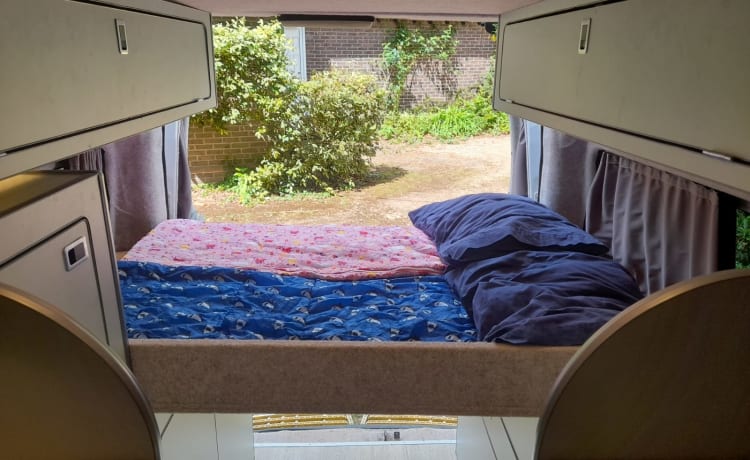 DUSTY – FORD TRANSIT CUSTOM HIGH TOP - UP TO 5 BERTH
