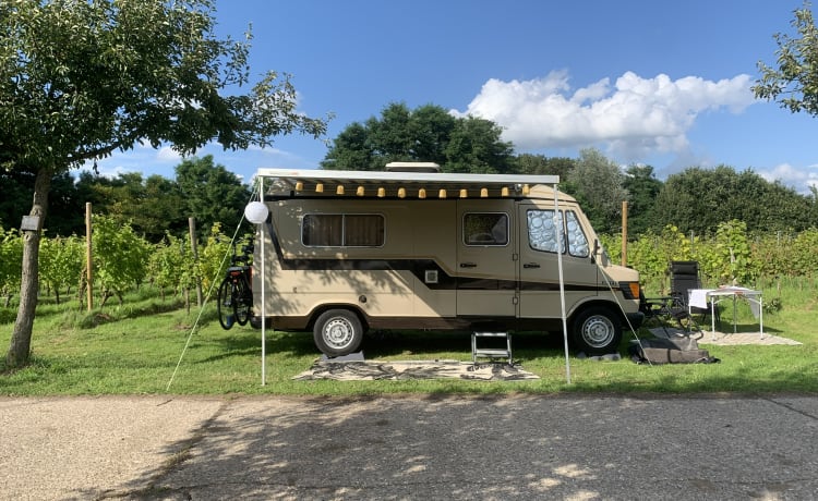 Sjaak  – 2p Mercedes-Benz bus oldtimer uit 1979