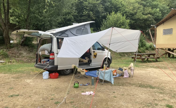 floortjes – camper vw T5 solo per amici e familiari