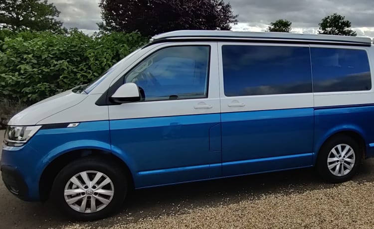 Drive 'The Falcon' - Our 4 berth *heated* T6.1 VW campervan 