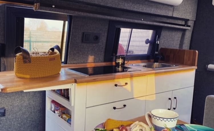 PANDA – VW T5 converted